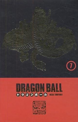 Dragon ball T.13